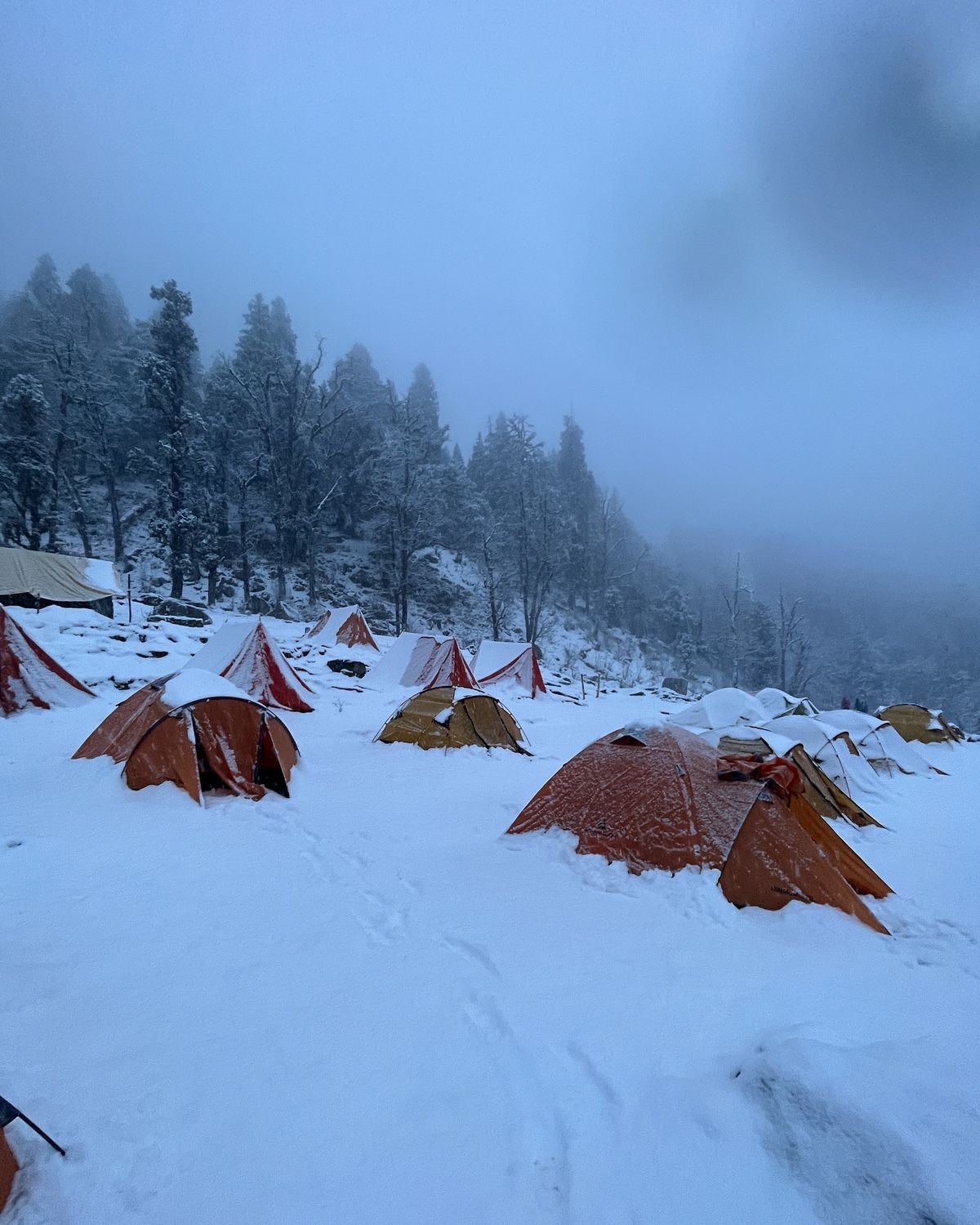 Sankri village base camp